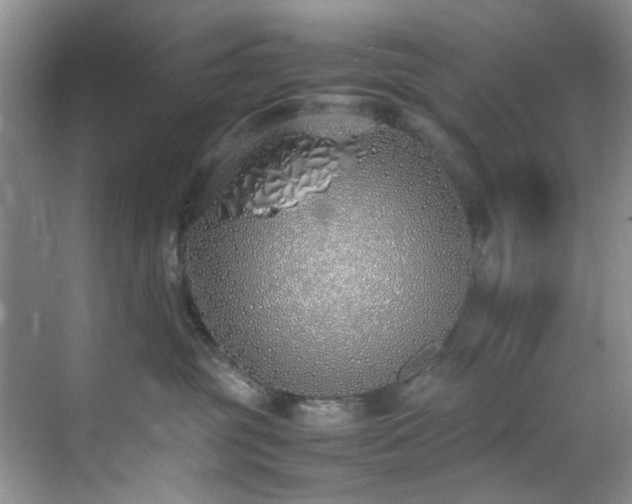 X0000070430381200606161510