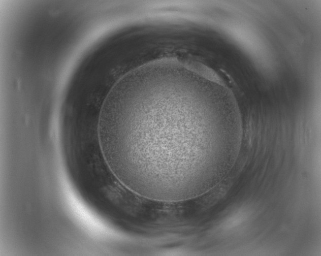 X0000070430383200606161510