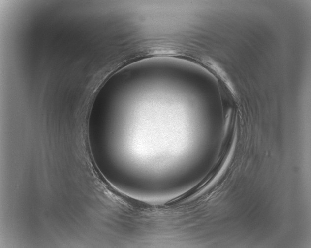 X0000070430385200606161509