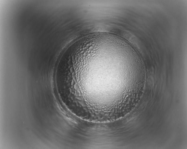 X0000070430386200606161509