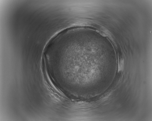 X0000070430387200606161509