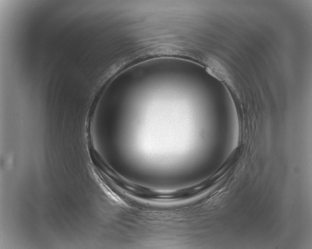 X0000070430389200606161509