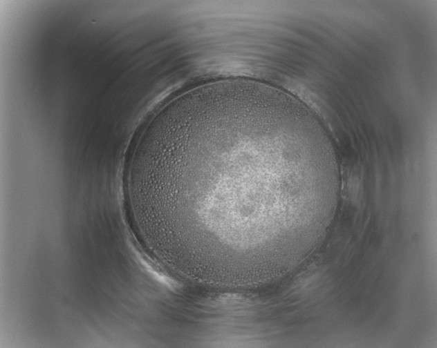 X0000070430390200606161509