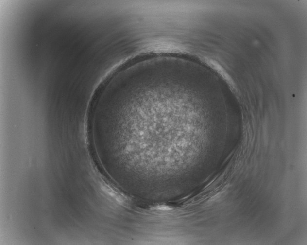 X0000070430391200606161509