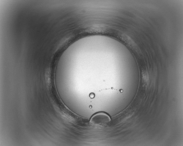 X0000070430396200606161509