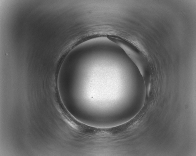 X0000070430397200606161509