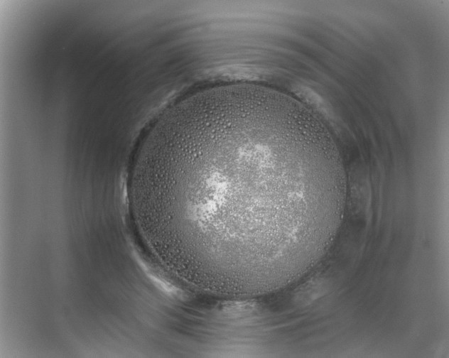 X0000070430398200606161509