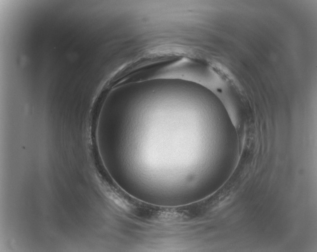 X0000070430399200606161509