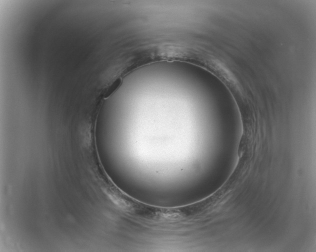 X0000070430401200606161509