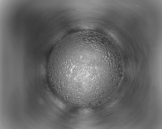 X0000070430402200606161509