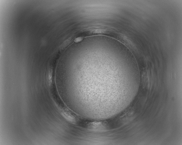 X0000070430406200606161509