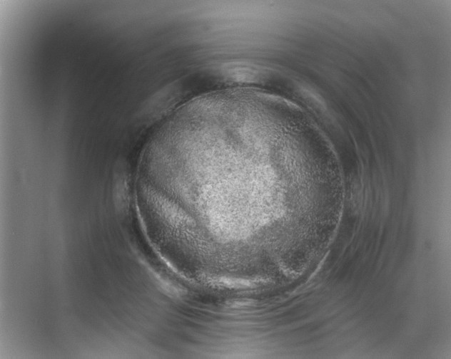 X0000070430410200606161509