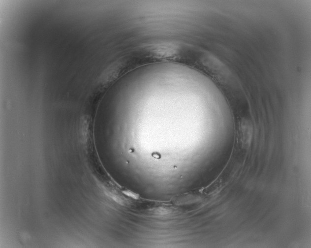 X0000070430412200606161509