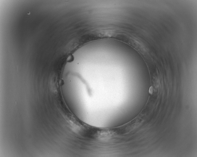 X0000070430414200606161509