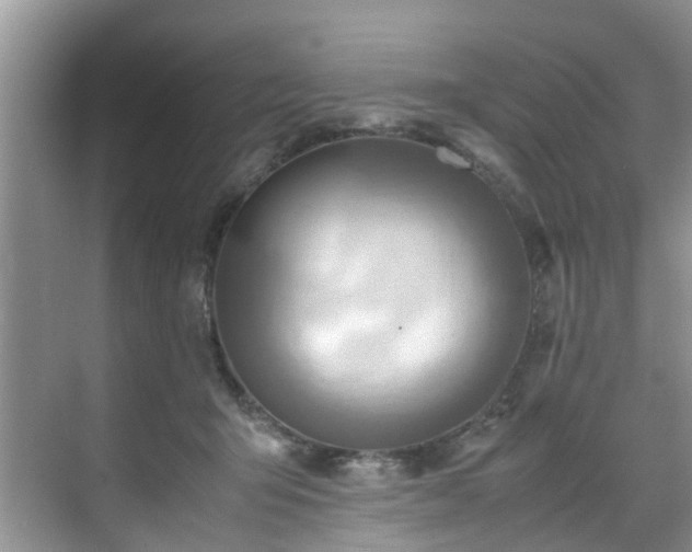 X0000070430415200606161509