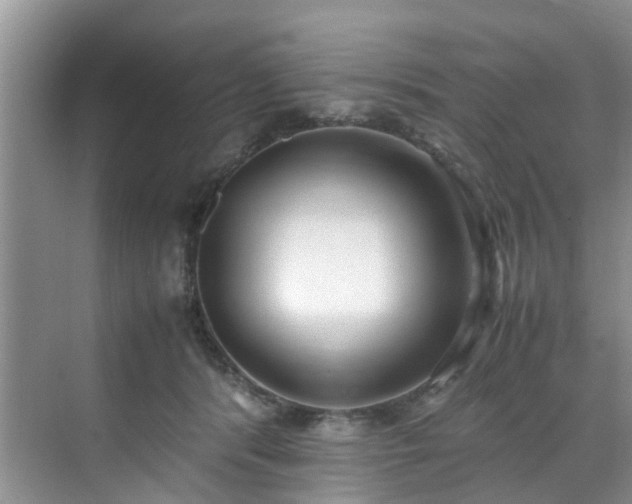 X0000070430416200606161509