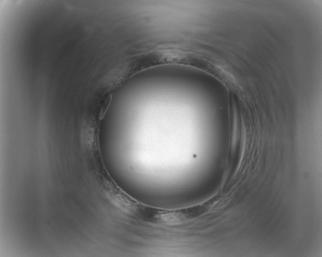 X0000070430417200606161509