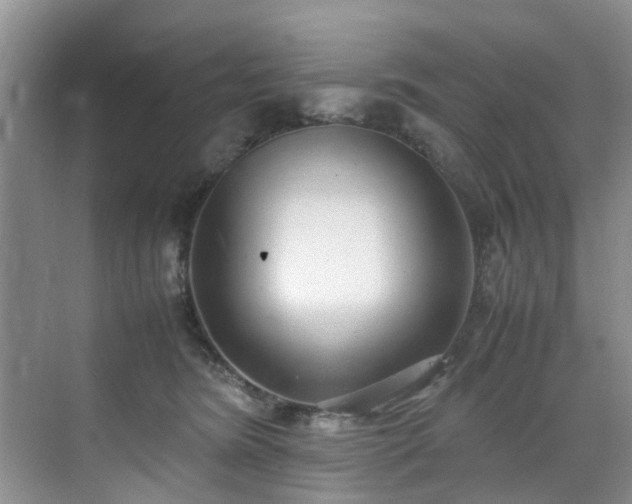 X0000070430420200606161509