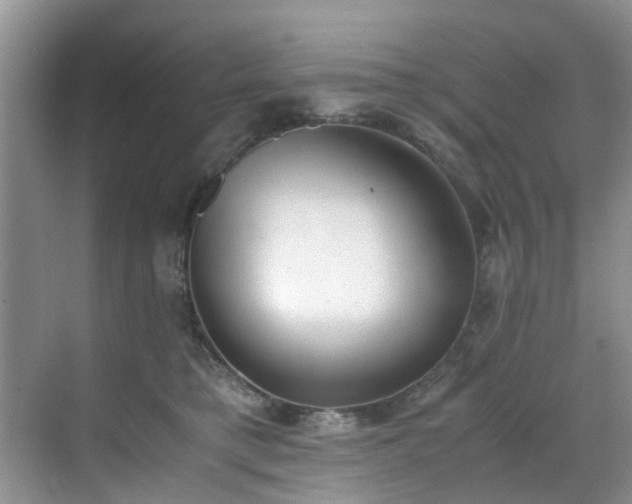 X0000070430421200606161509