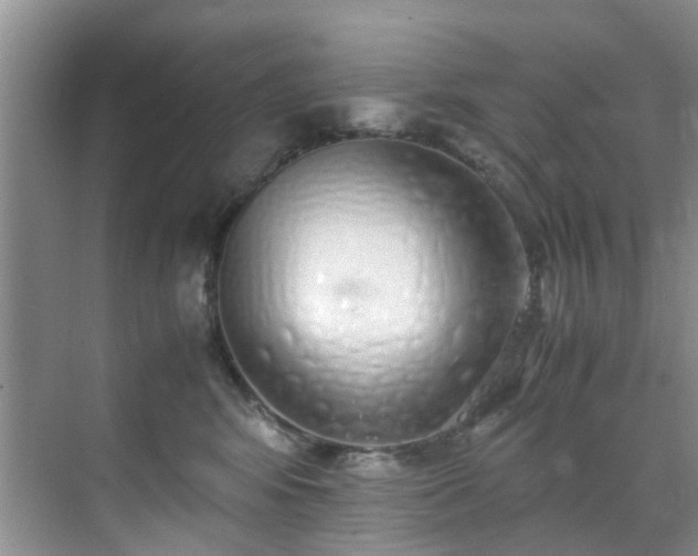 X0000070430424200606161509