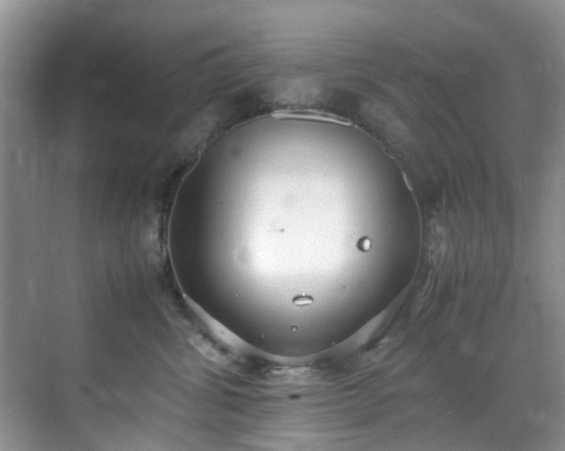 X0000070430428200606161509