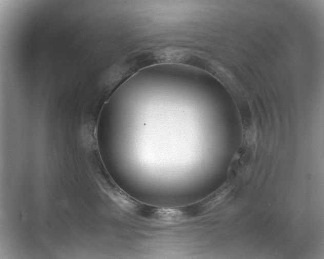 X0000070430429200606161509