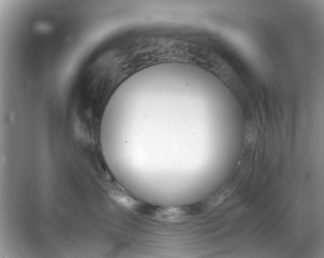 X0000070430431200606161509