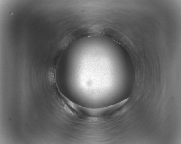 X0000070430432200606161509