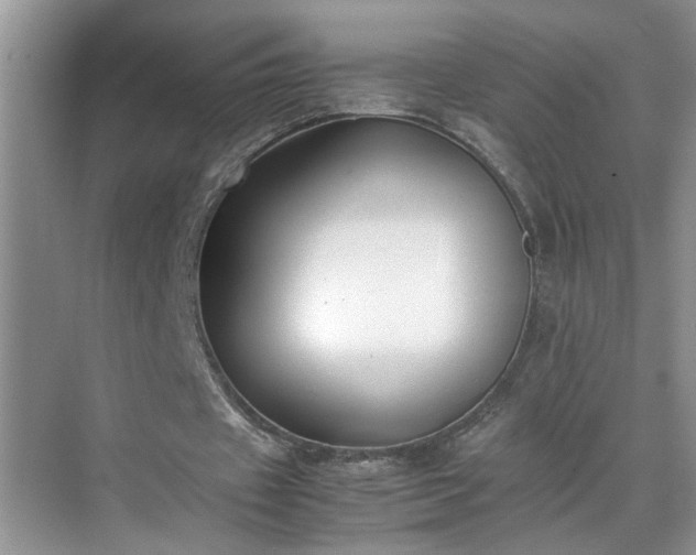 X0000070430433200606161508