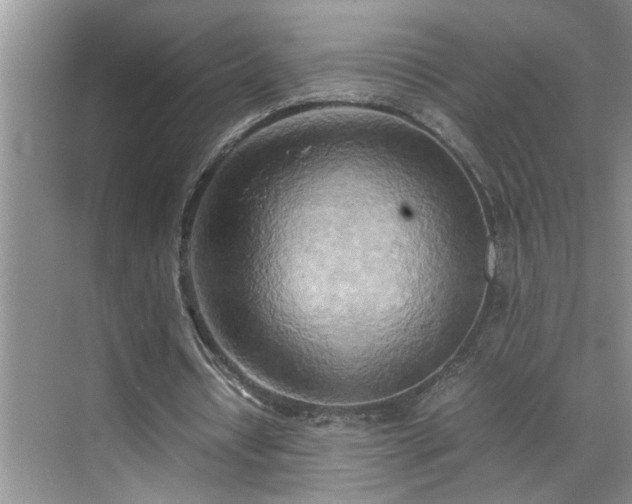 X0000070430434200606161508