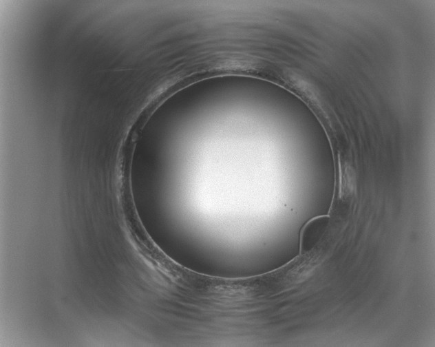 X0000070430435200606161508