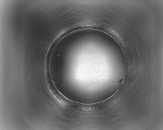 X0000070430439200606161508