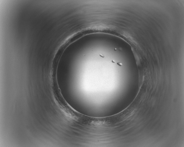 X0000070430440200606161508