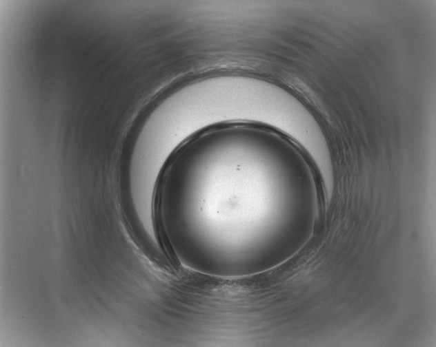 X0000070430444200606161508