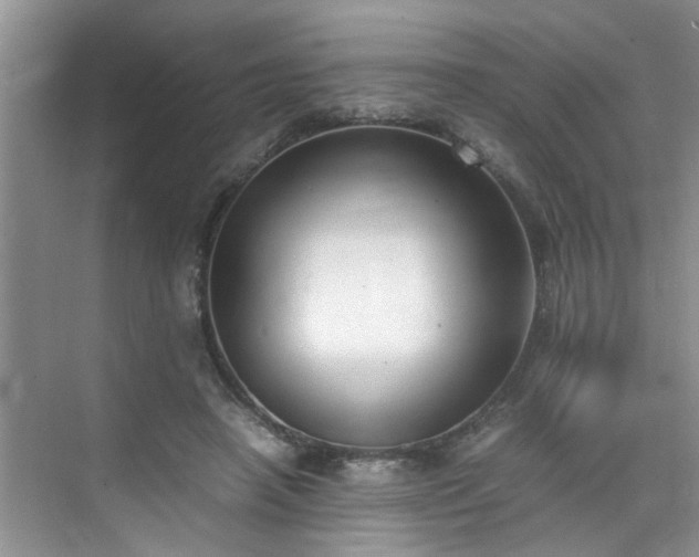 X0000070430450200606161508