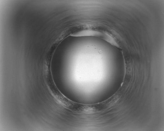 X0000070430456200606161508