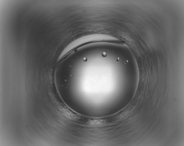 X0000070430461200606161508