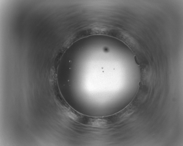 X0000070430463200606161508