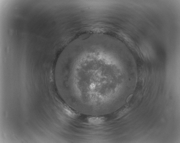 X0000070430465200606161508