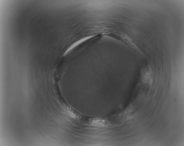 X0000070430471200606161508