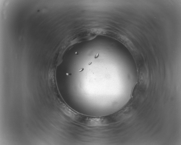 X0000070430473200606161509