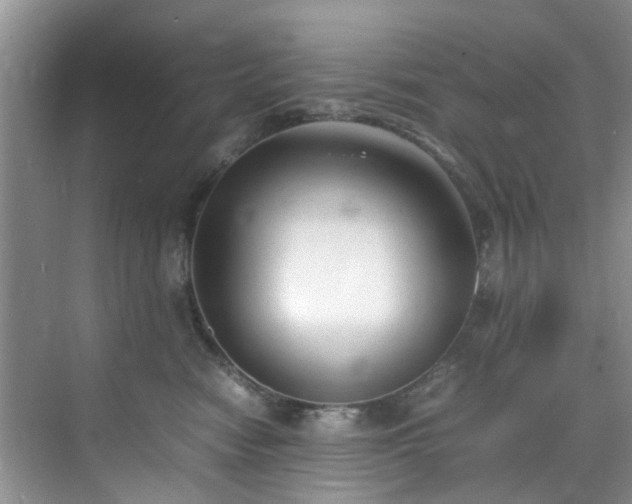 X0000070430474200606161509