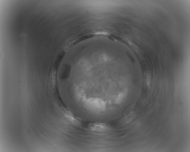 X0000070430475200606161509