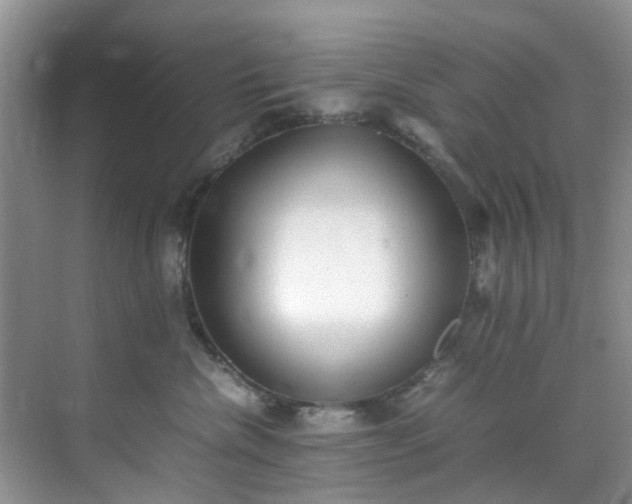 X0000070430476200606161509