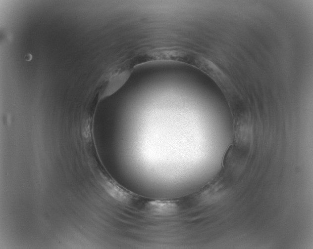 X0000070430477200606161509