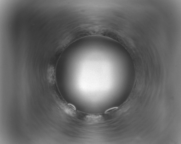 X0000070430480200606161509