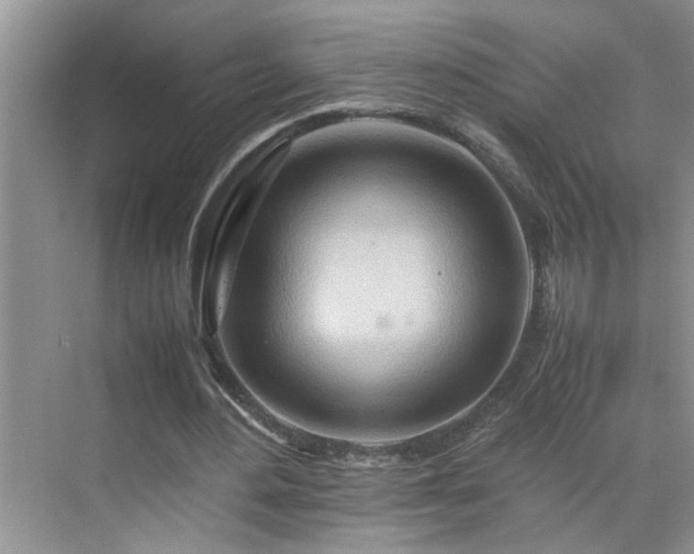 X0000070430484200606161508