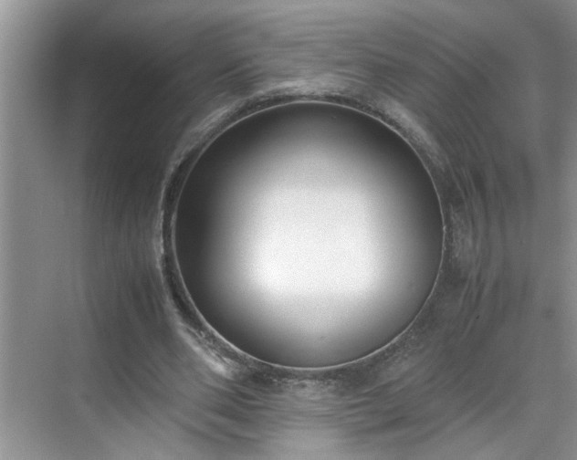 X0000070430486200606161508