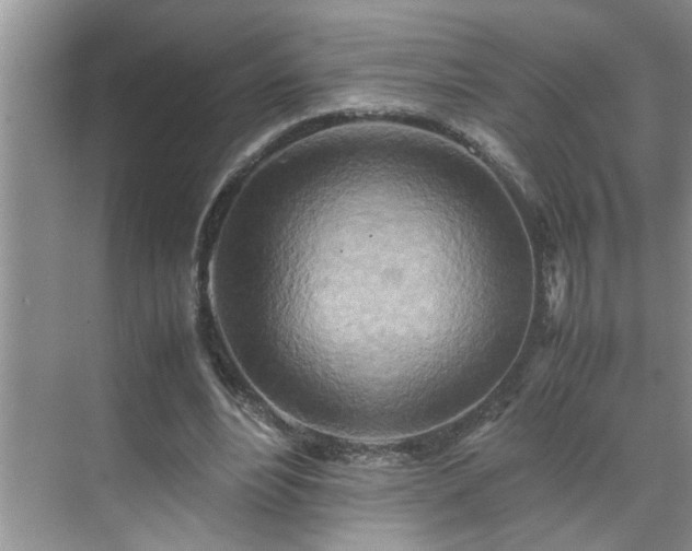 X0000070430488200606161508