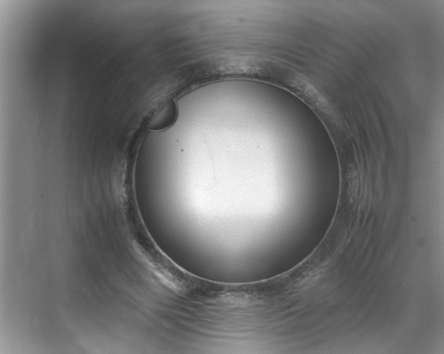 X0000070430490200606161508